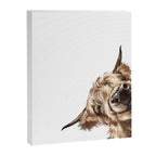 Sneaky Highland Cow Canvas Print Gallery Image 8