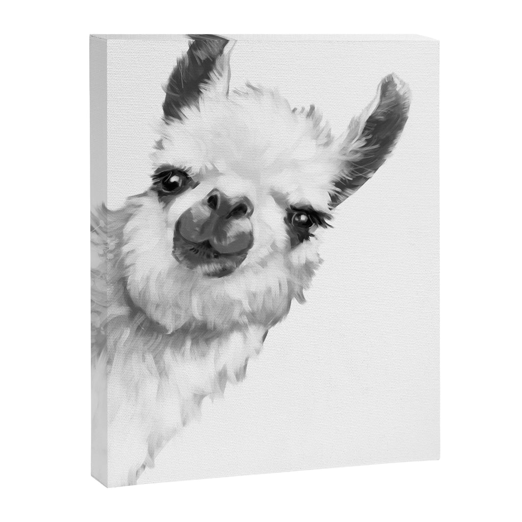 Sneaky Llama Black and White Canvas Print Gallery Image 8