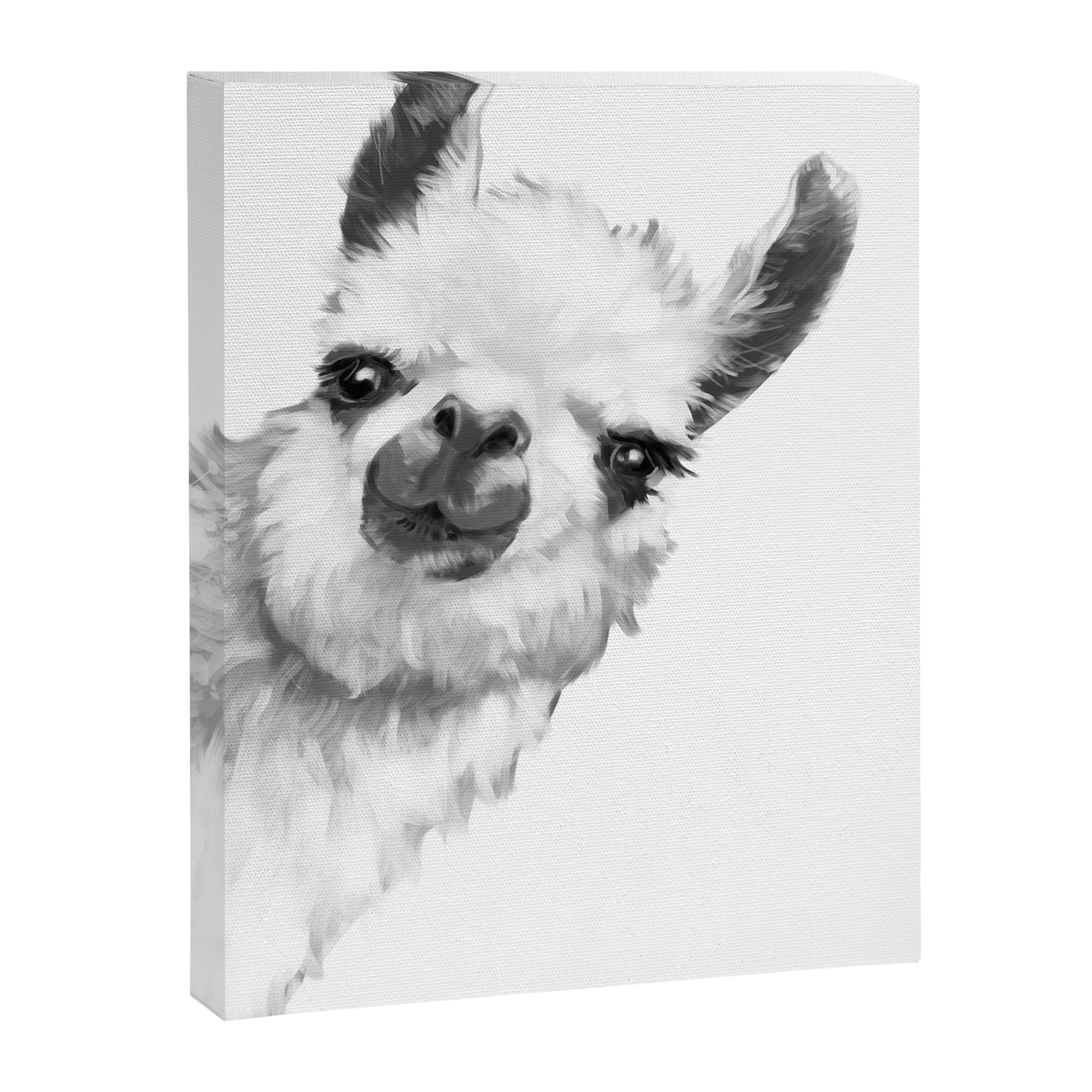 Sneaky Llama Black and White Canvas Print Gallery Image 8