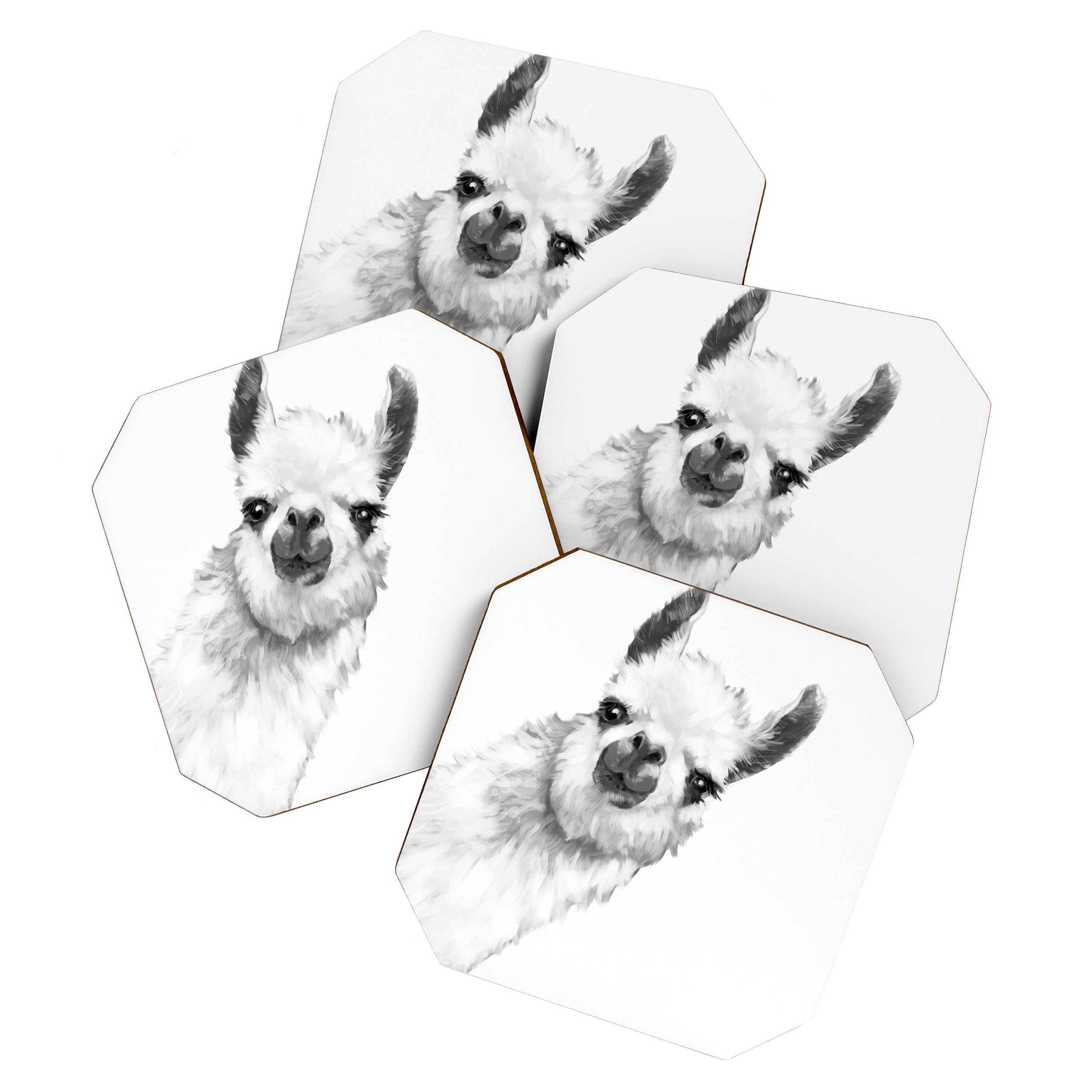Sneaky Llama Black and White Coaster Gallery Image 1