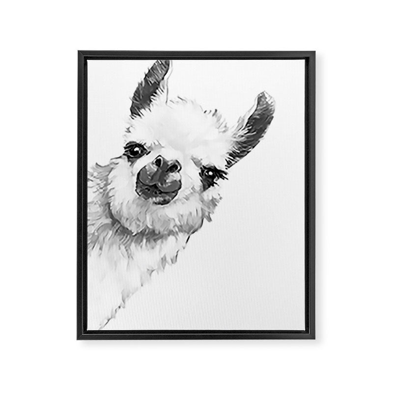 Sneaky Llama Black and White Framed Canvas Print Gallery Image 8