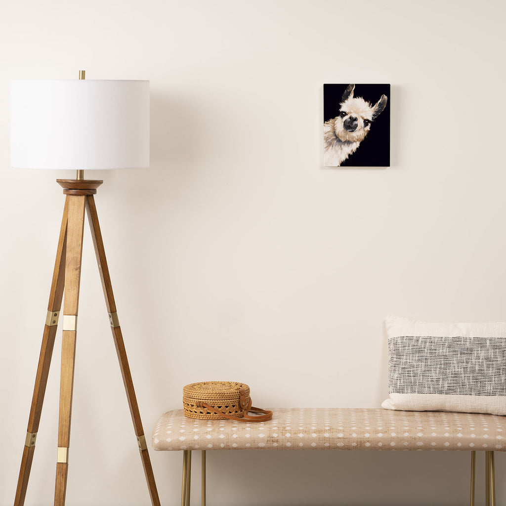 Sneaky Llama in Black Canvas Print Gallery Image 2