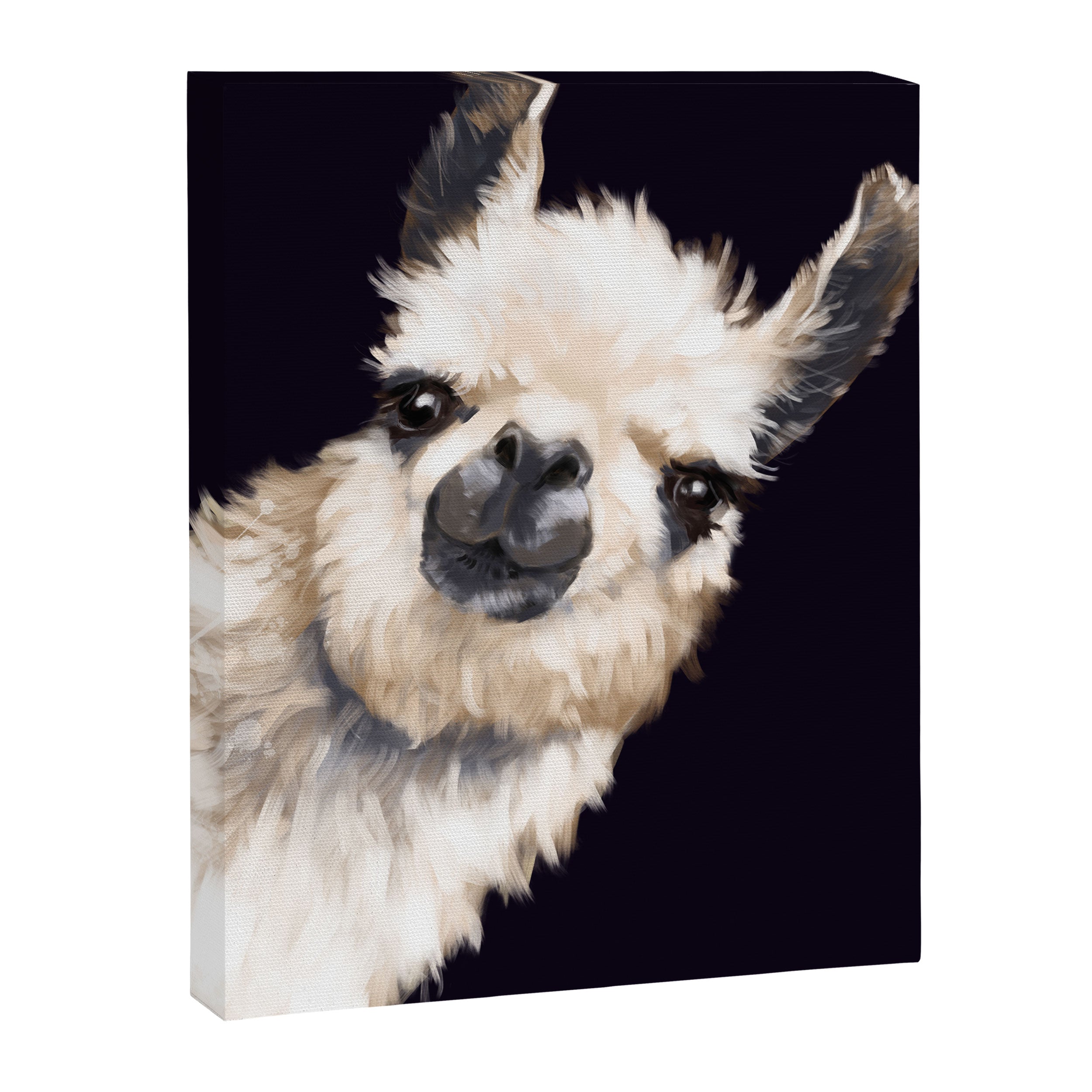 Sneaky Llama in Black Canvas Print Gallery Image 8