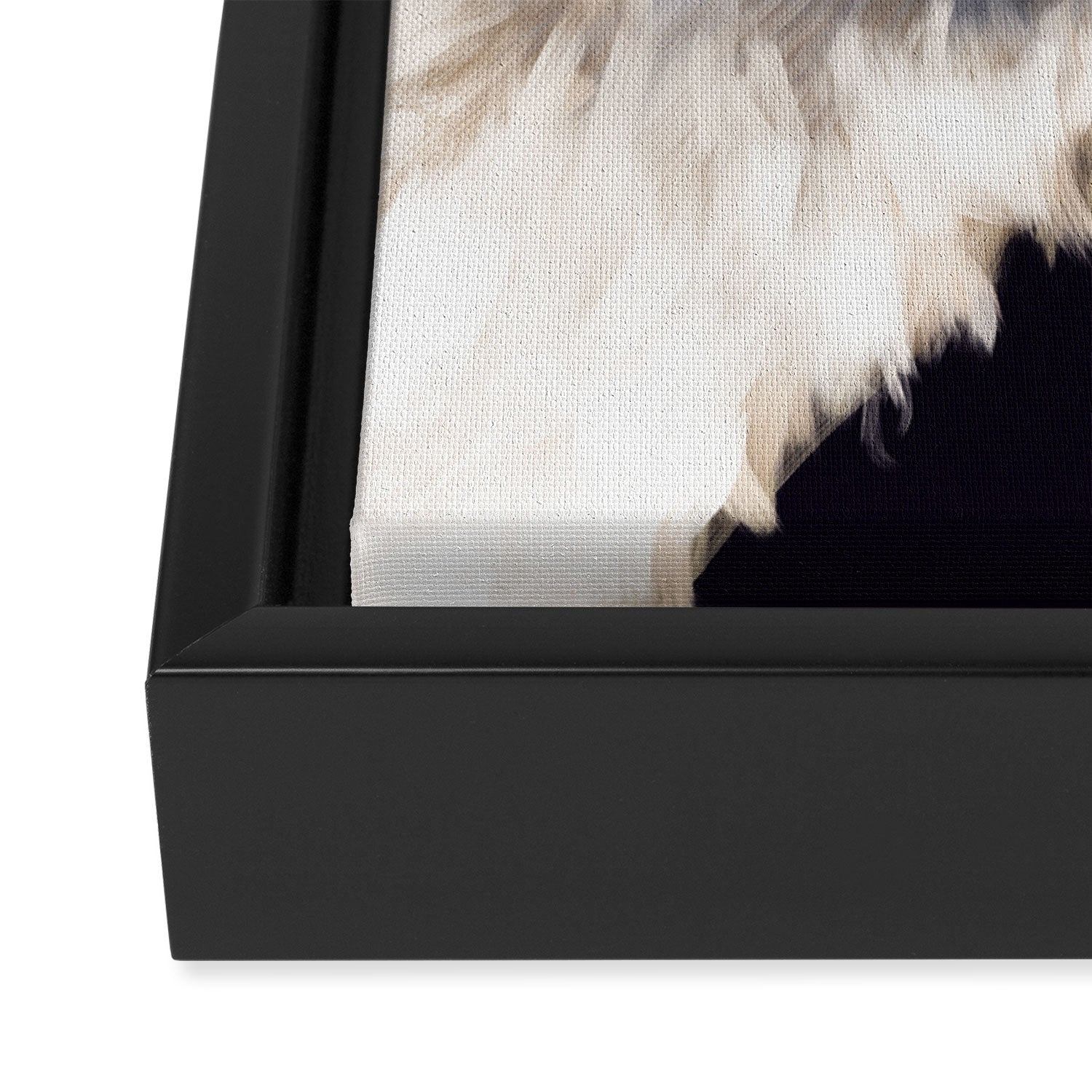 Sneaky Llama in Black Framed Canvas Print Gallery Image 3