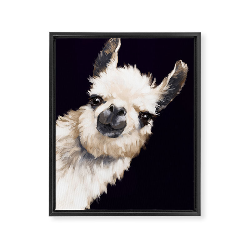 Sneaky Llama in Black Framed Canvas Print Gallery Image 8