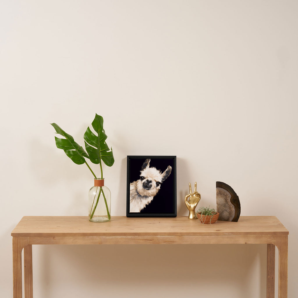 Sneaky Llama in Black Framed Canvas Print Gallery Image 4