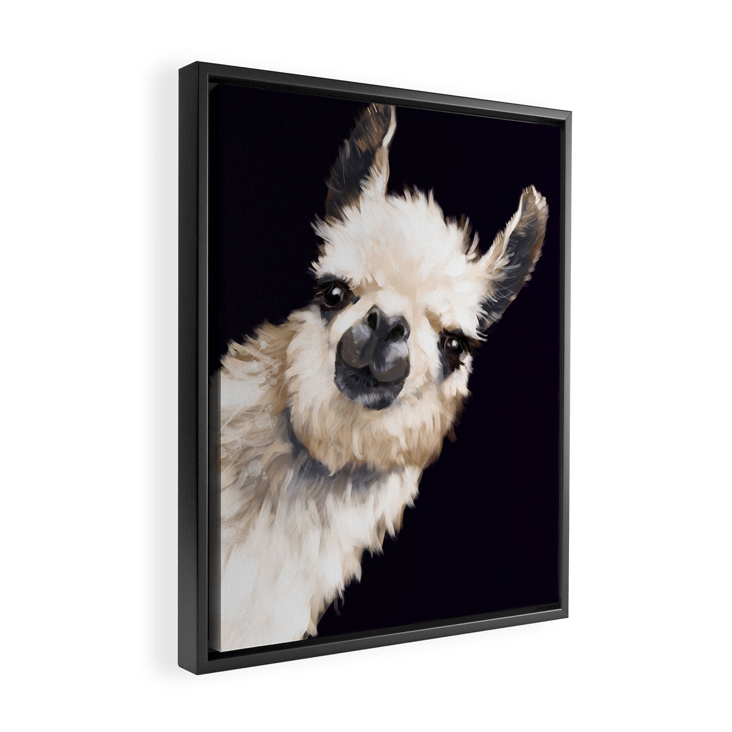 Sneaky Llama in Black Framed Canvas Print Gallery Image 2