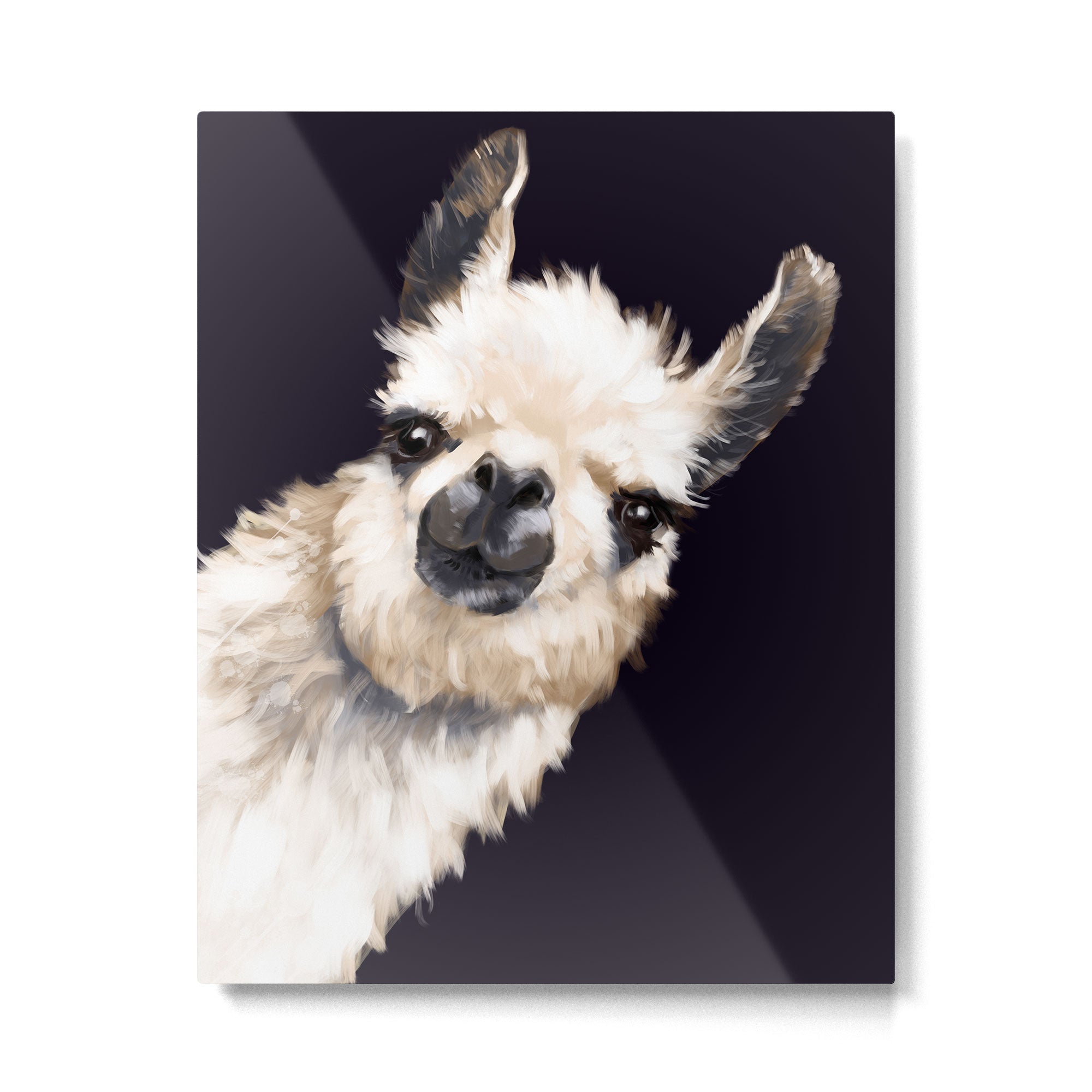 Sneaky Llama in Black Metal Print Gallery Image 6
