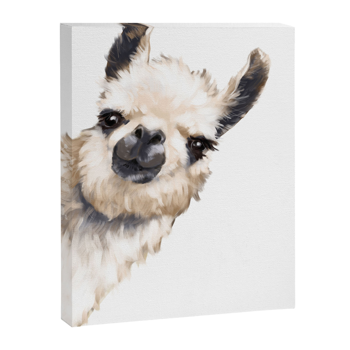 Sneaky Llama White Canvas Print Gallery Image 8