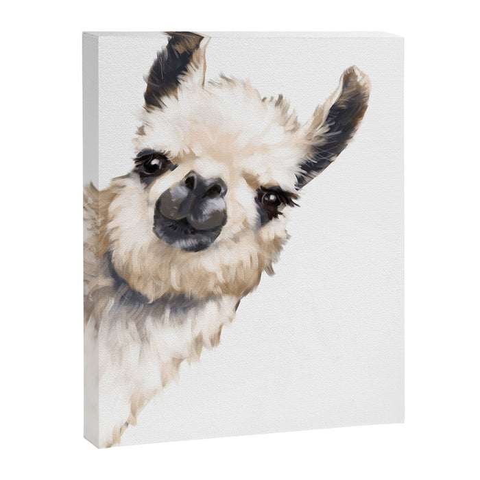 Sneaky Llama White Canvas Print Gallery Image 1