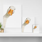 Sneaky White Duck Canvas Print Gallery Image 3