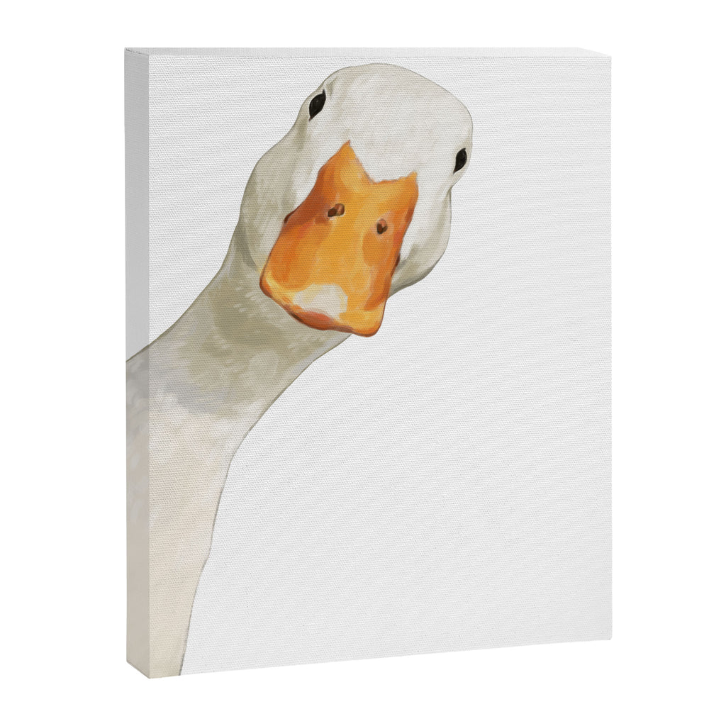 Sneaky White Duck Canvas Print Gallery Image 8