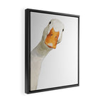 Sneaky White Duck Framed Canvas Print Gallery Image 2