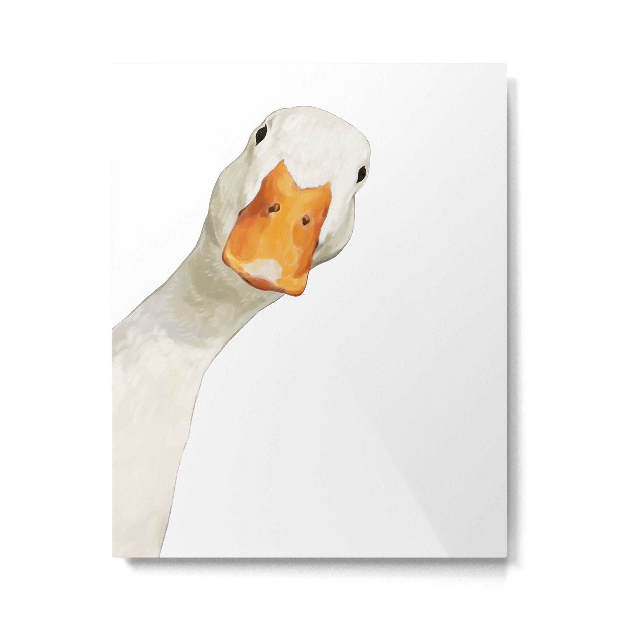 Sneaky White Duck Metal Print Gallery Image 6