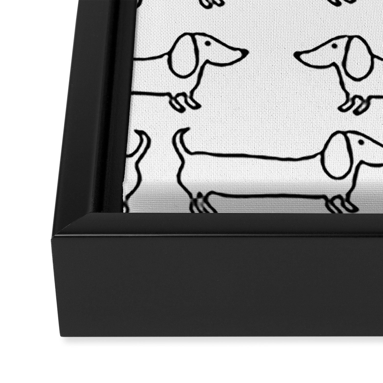Dachshund in black-white Framed Canvas Print Gallery Image 3