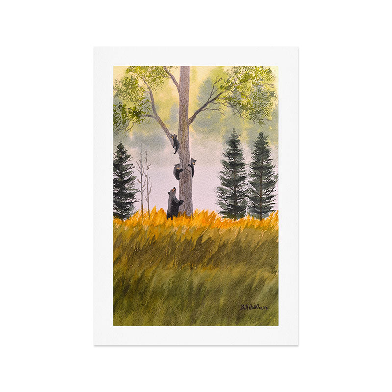 Bears In The Blue Ridge Mountains Art Print Gallery Image 1