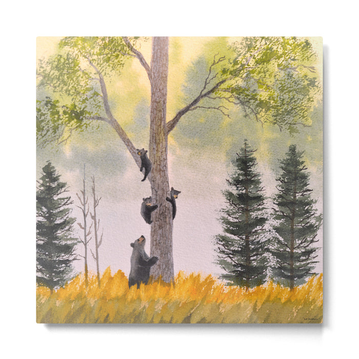 Bears In The Blue Ridge Mountains Metal Print Gallery Image 1