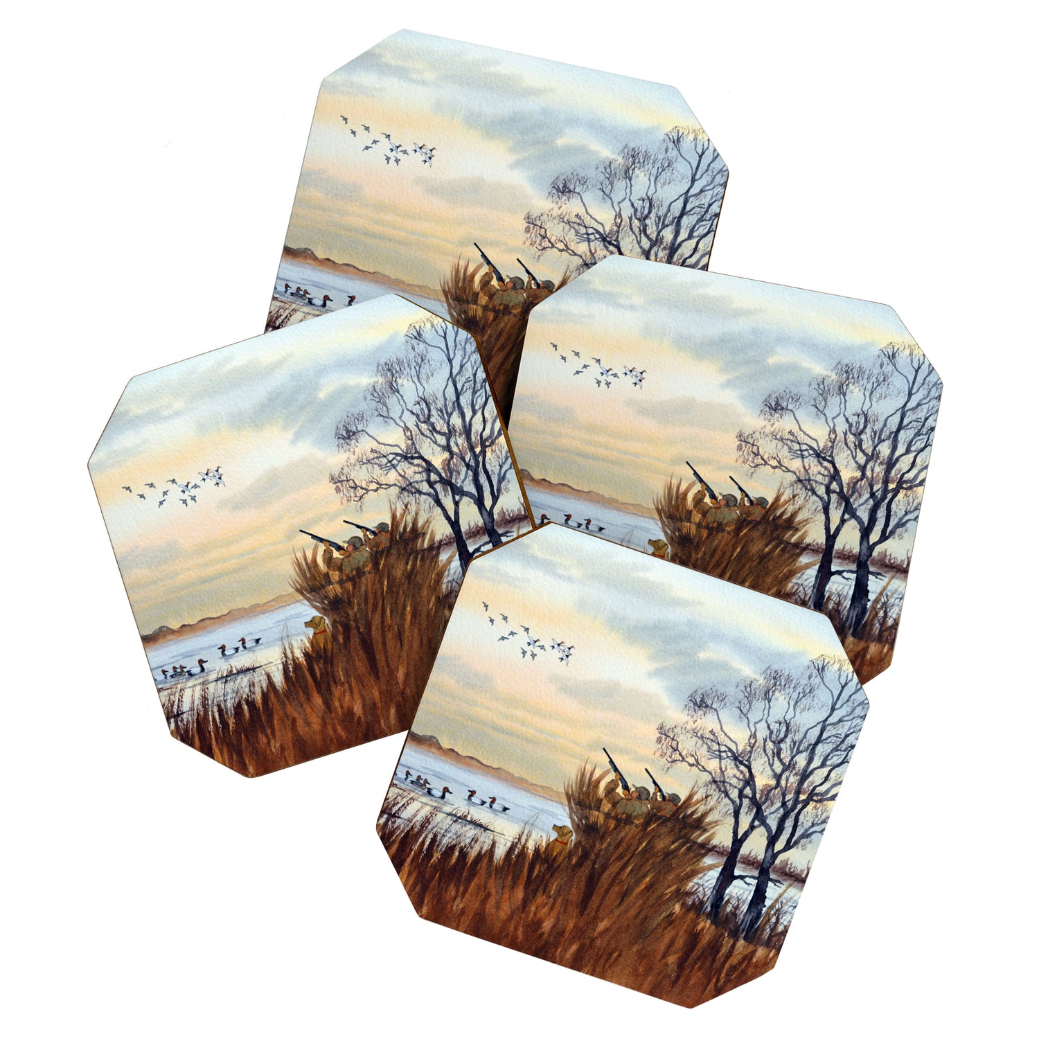 Duck Hunting Season Begins For The Canvasback Coaster Gallery Image 1