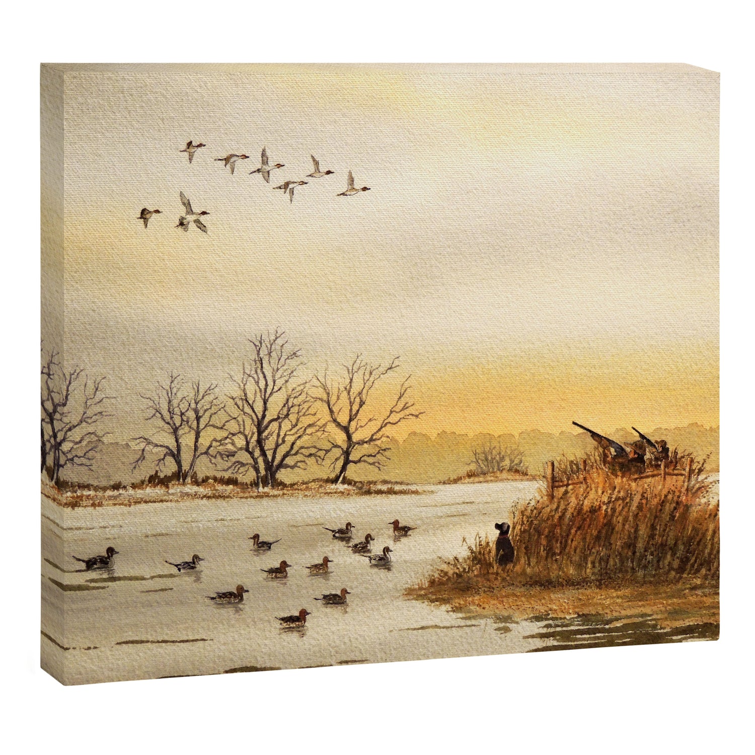 Hunting Pintail Ducks Canvas Print Gallery Image 3
