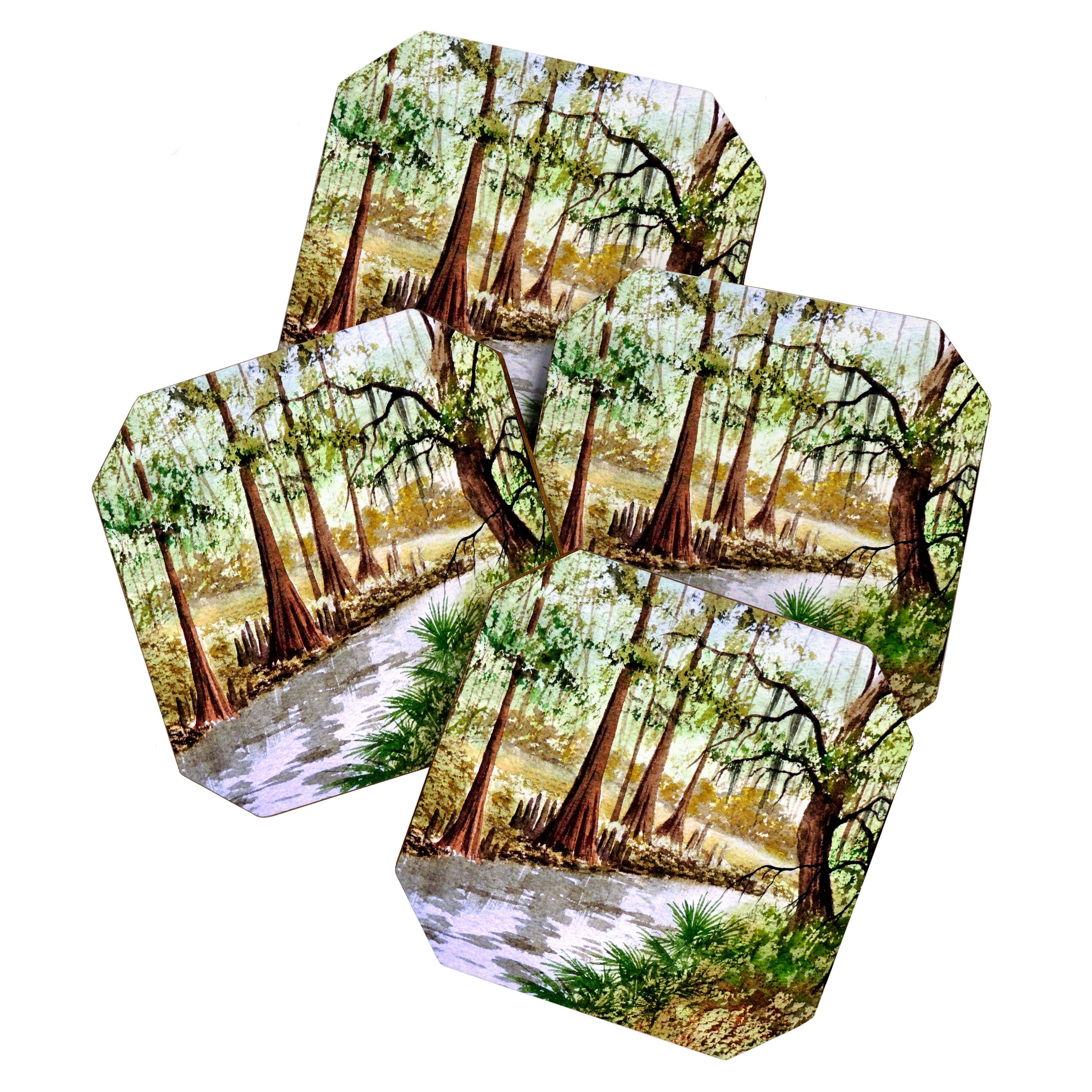 Sopchoppy River Florida Coaster Gallery Image 1