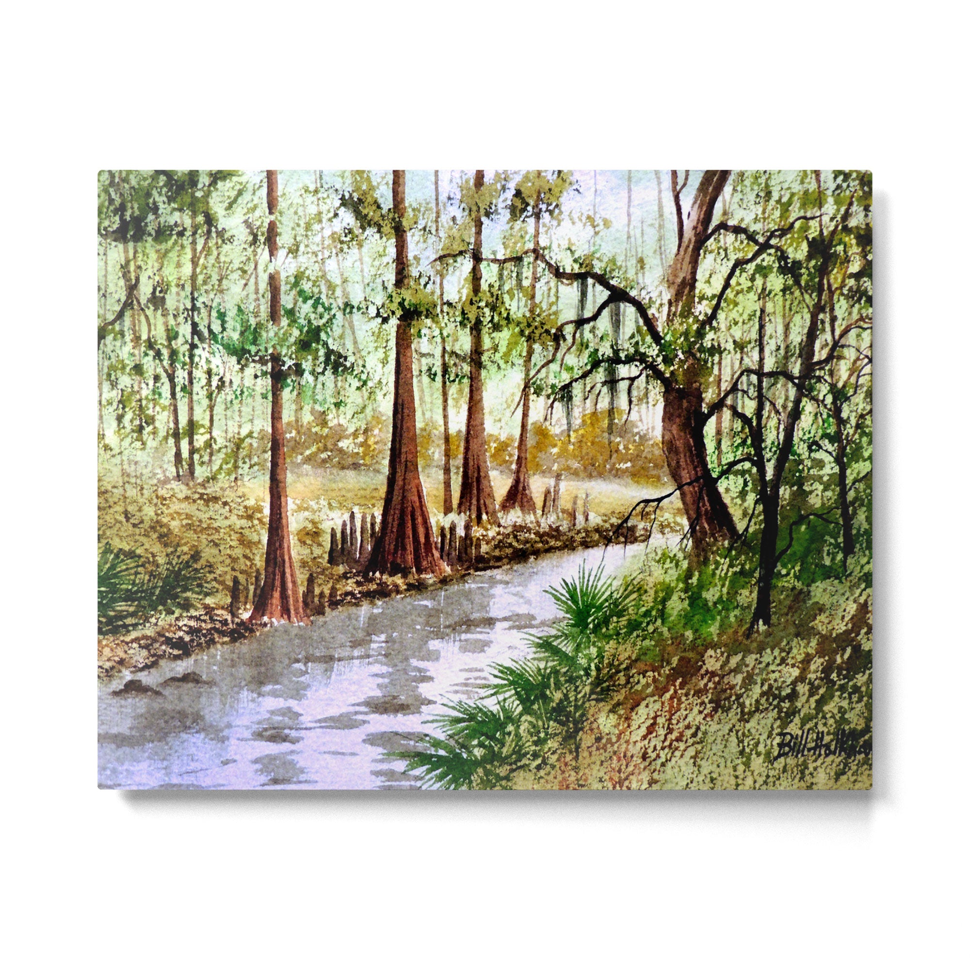 Sopchoppy River Florida Metal Print Gallery Image 4