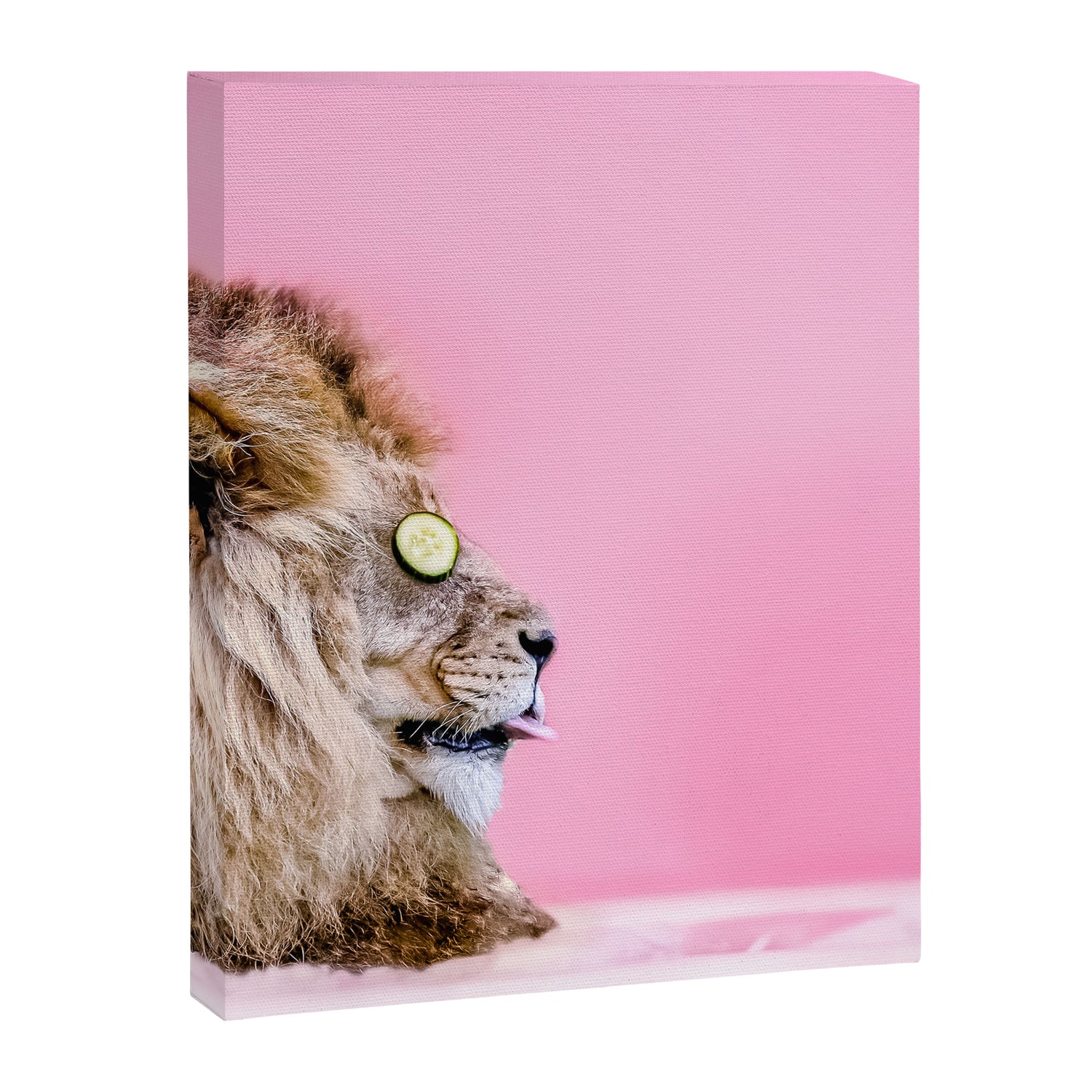 Lion in the Bathtub Canvas Print Gallery Image 6
