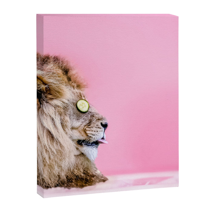 Lion in the Bathtub Canvas Print Gallery Image 1