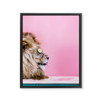 Lion in the Bathtub Framed Canvas Print Gallery Image 6