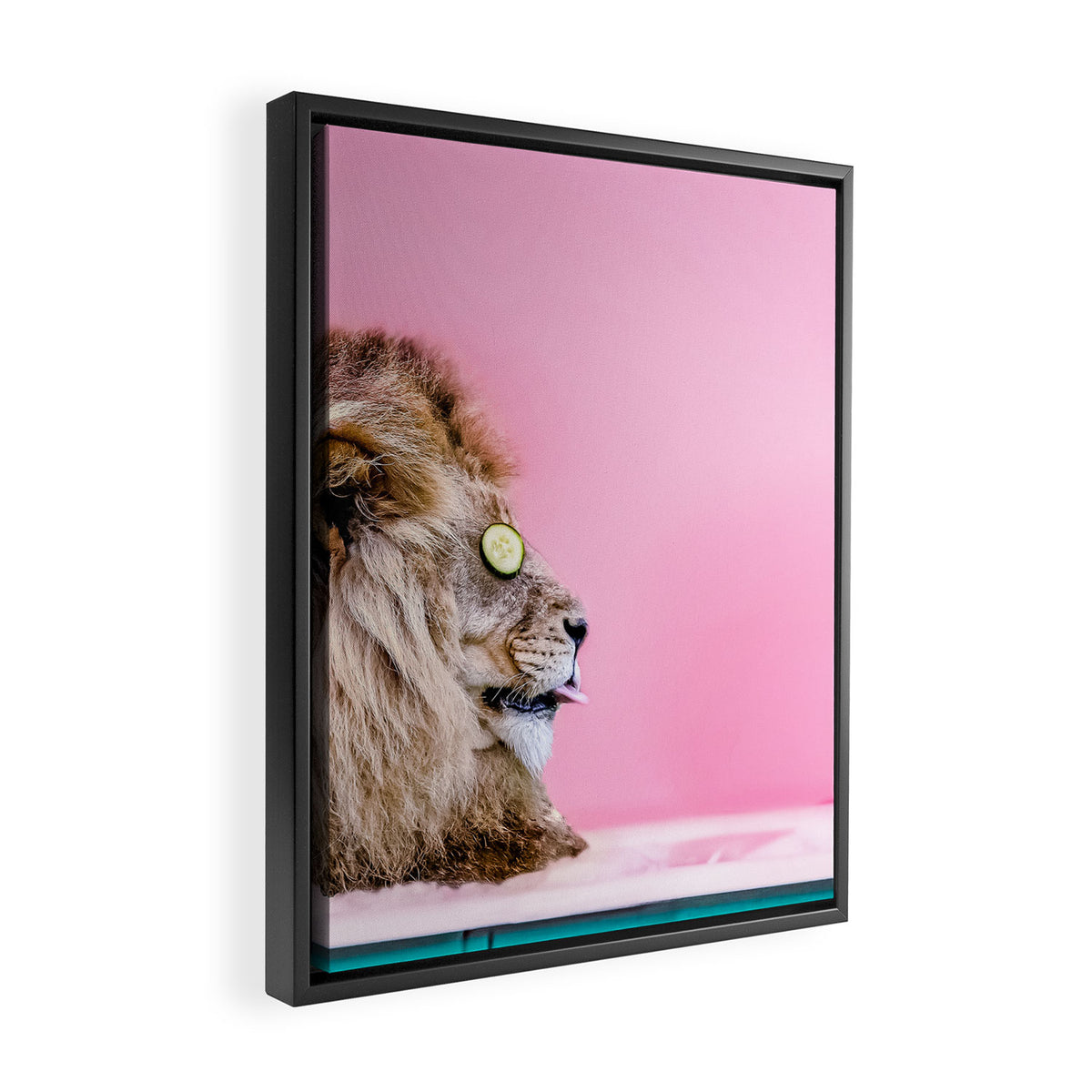 Lion in the Bathtub Framed Canvas Print Gallery Image 2