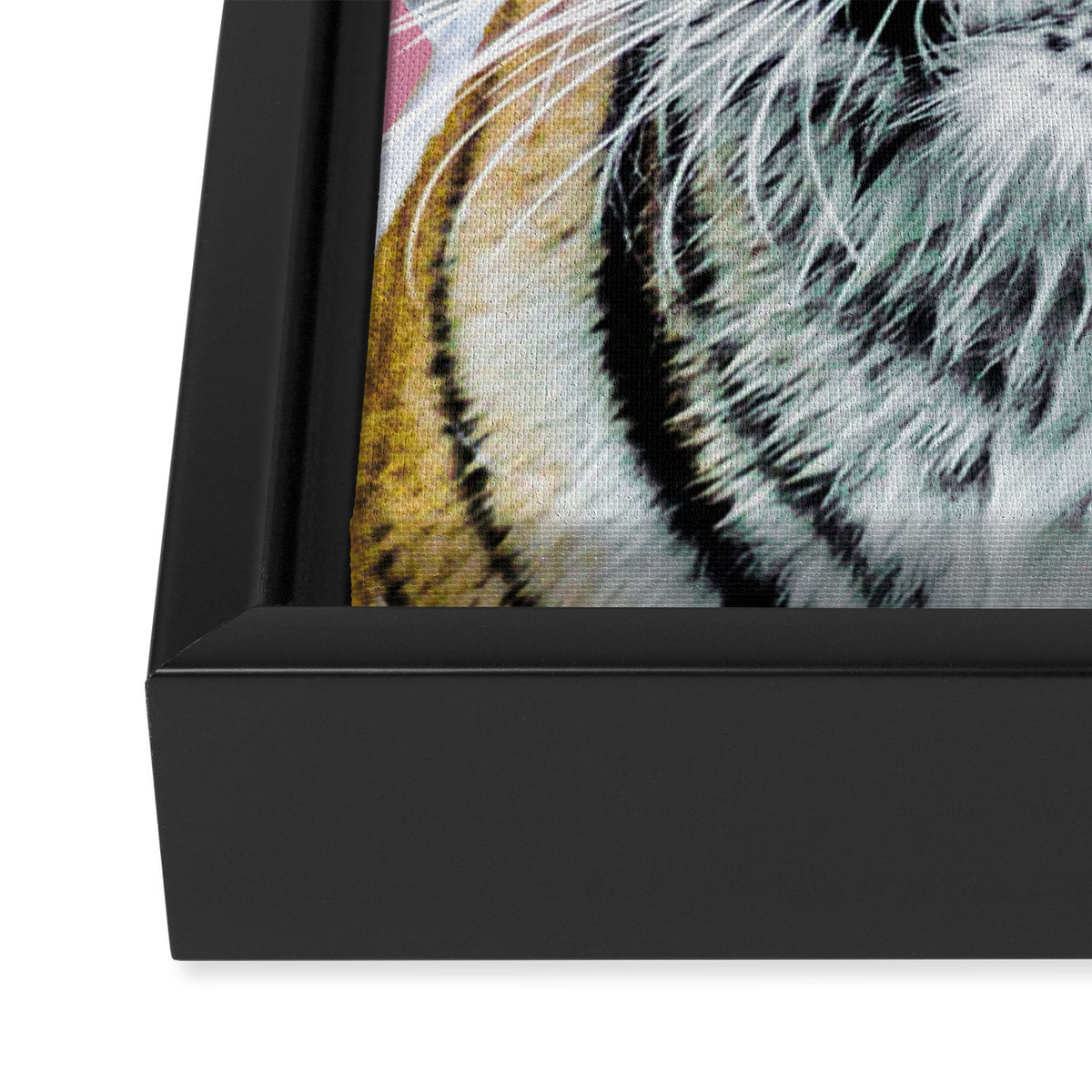 Tiger in a Towel Framed Canvas Print Gallery Image 3