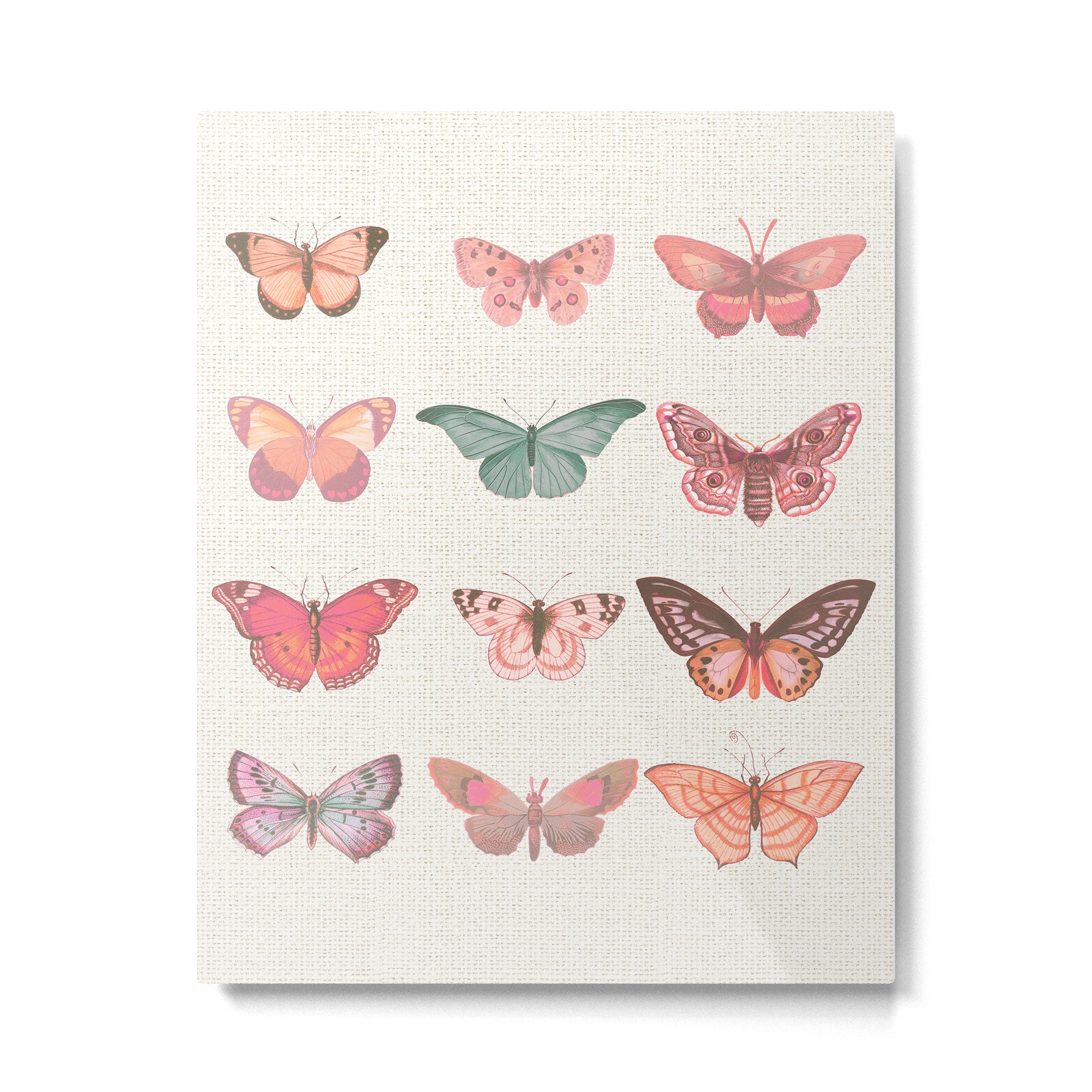 Butterflies in Pink Tones Metal Print Gallery Image 6