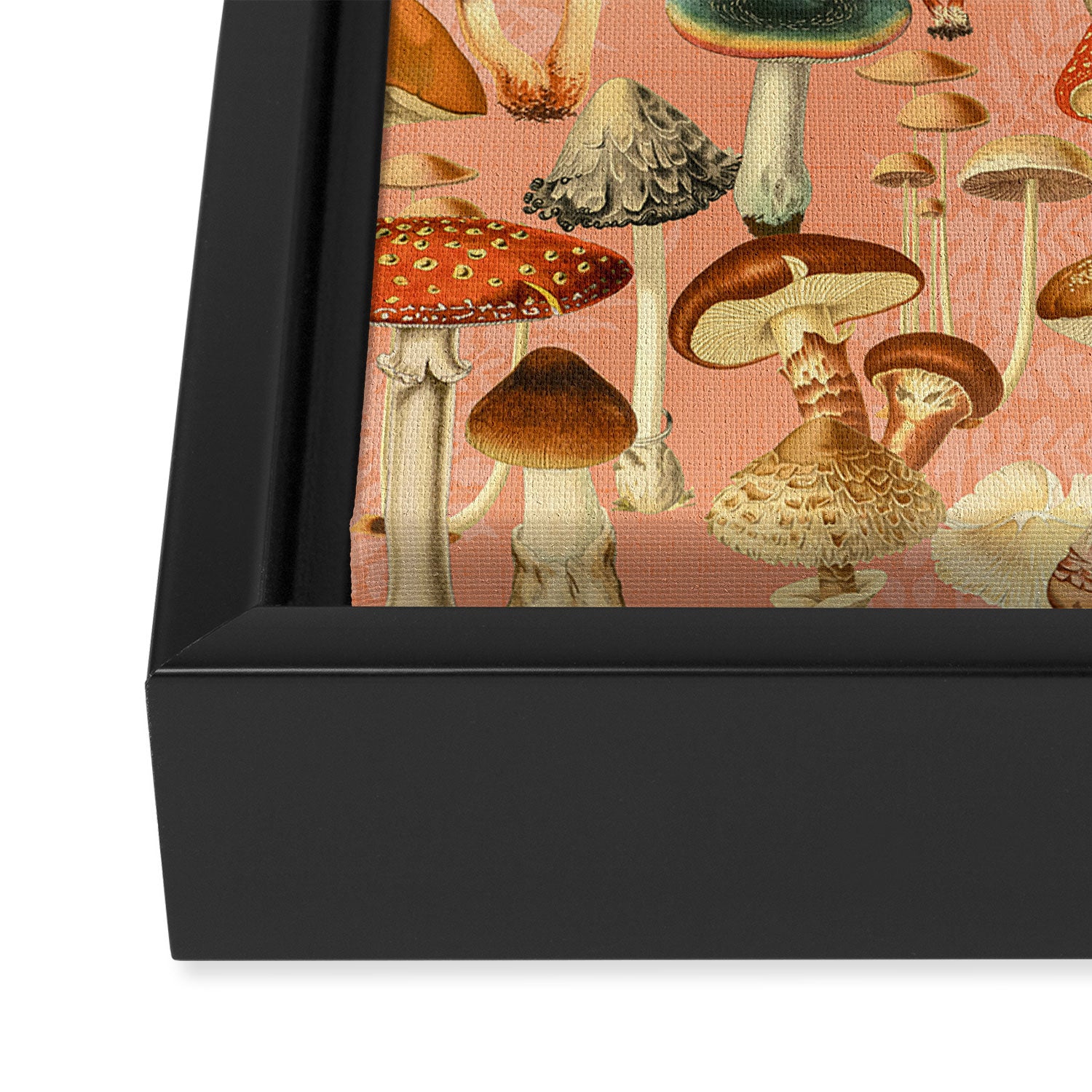 Mushroom Forest Framed Canvas Print Gallery Image 3