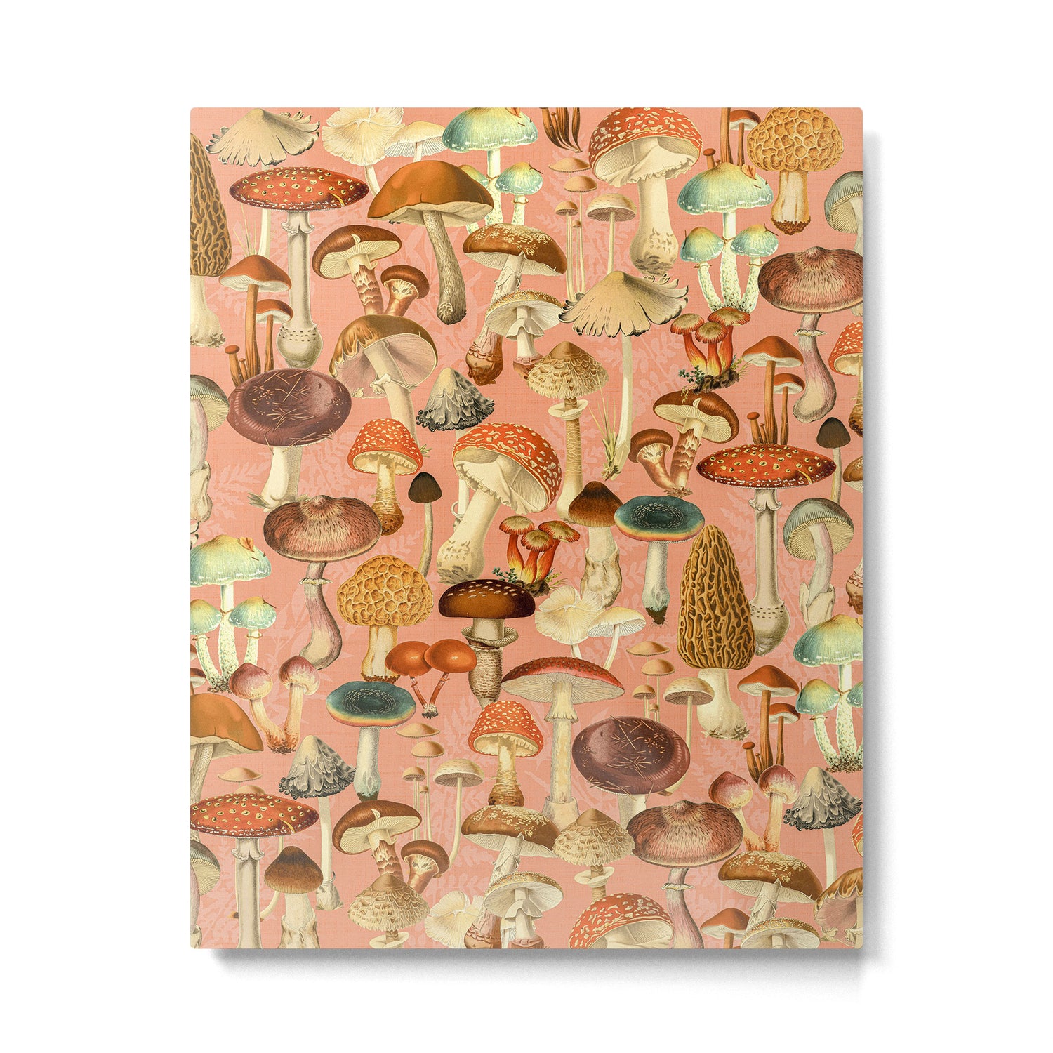 Mushroom Forest Metal Print Gallery Image 6