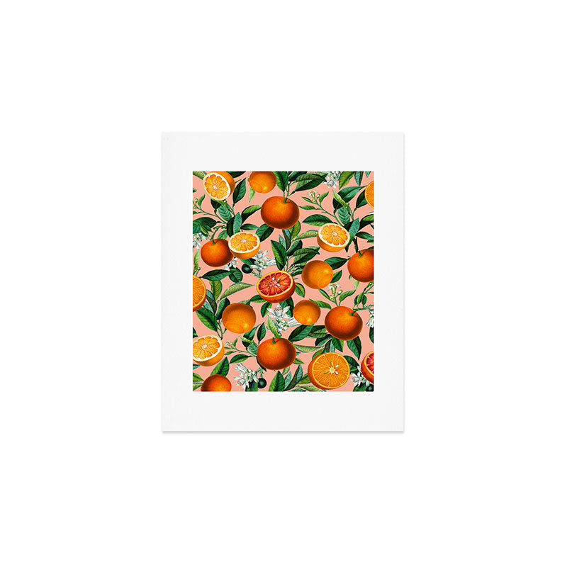 Oranges Pink Vintage Botanical Art Print Gallery Image 1