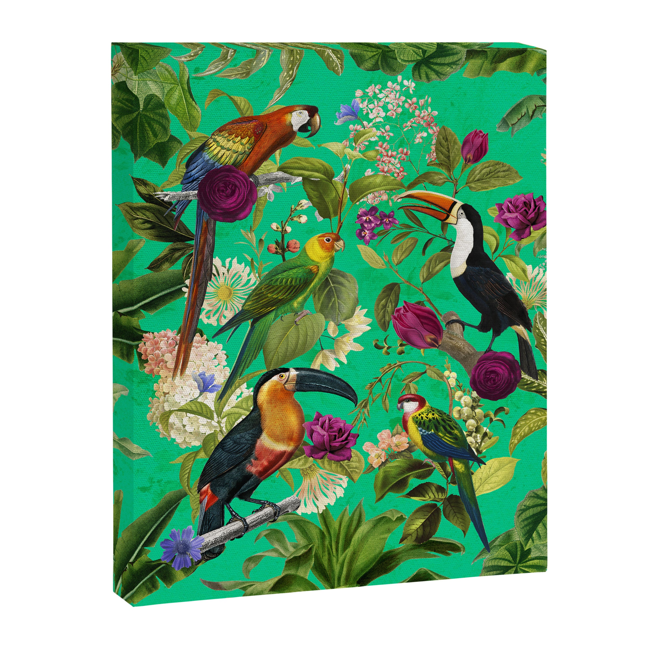 Toucan Jungle Canvas Print Gallery Image 6