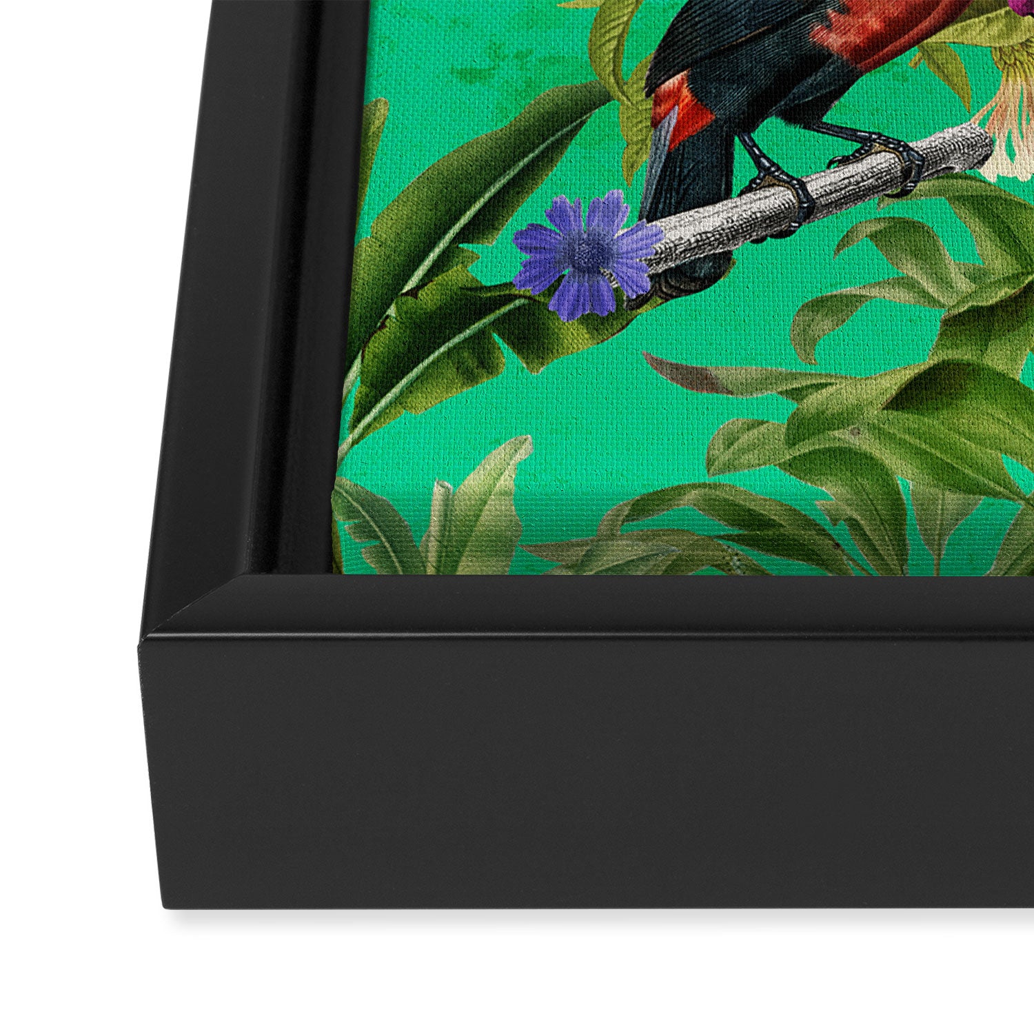 Toucan Jungle Framed Canvas Print Gallery Image 3