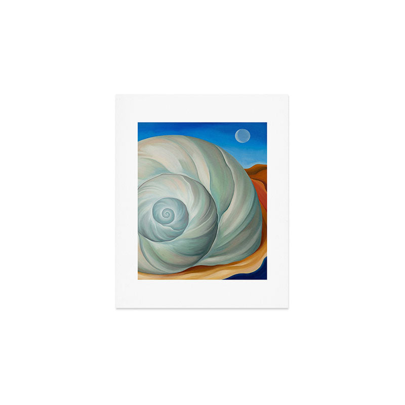 Nautilus Shell Art Print Gallery Image 1