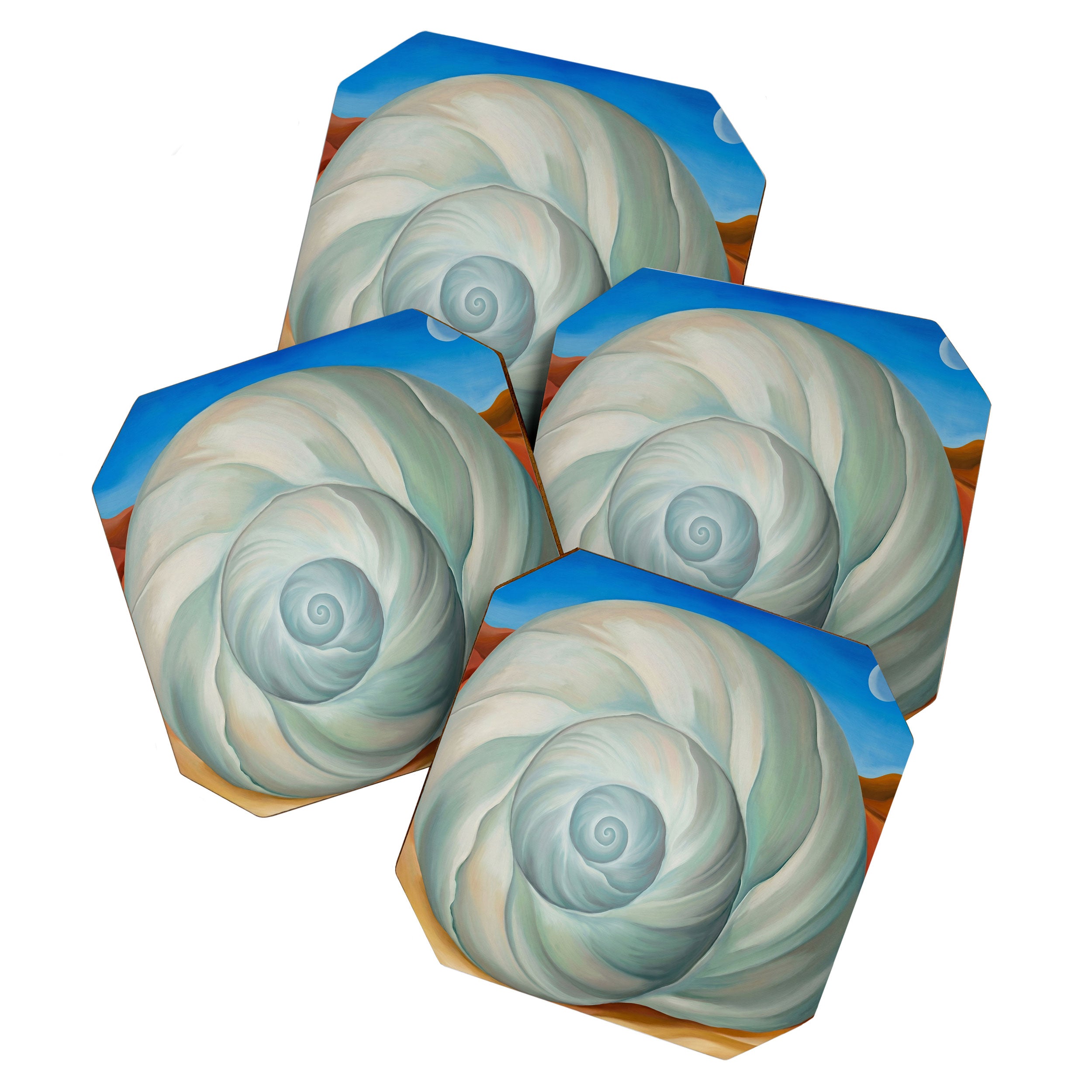 Nautilus Shell Coaster Gallery Image 1