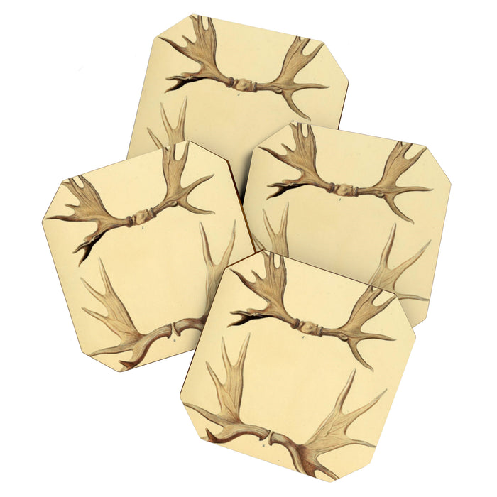 Antique Antlers Coaster Gallery Image 1