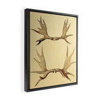 Antique Antlers Framed Canvas Print Gallery Image 2
