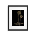Black And Gold Poppies Framed Art Print Gallery Image 5