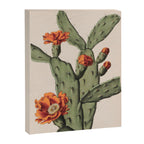 Botanical Cactus Canvas Print Gallery Image 6