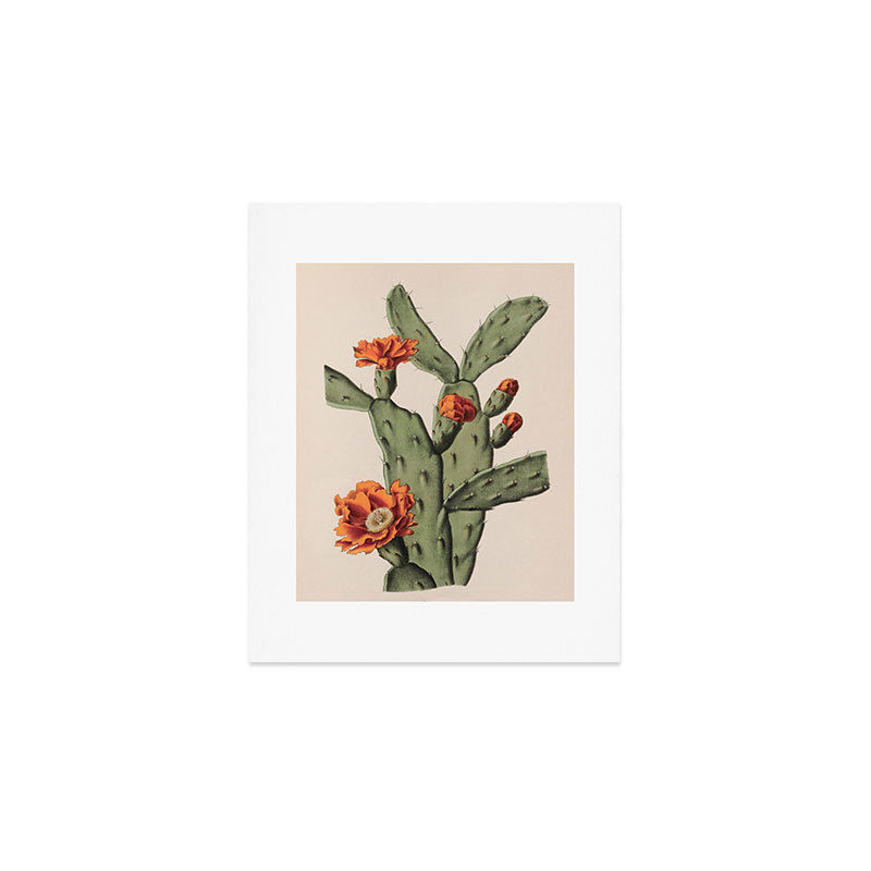 Botanical Cactus Art Print Gallery Image 1