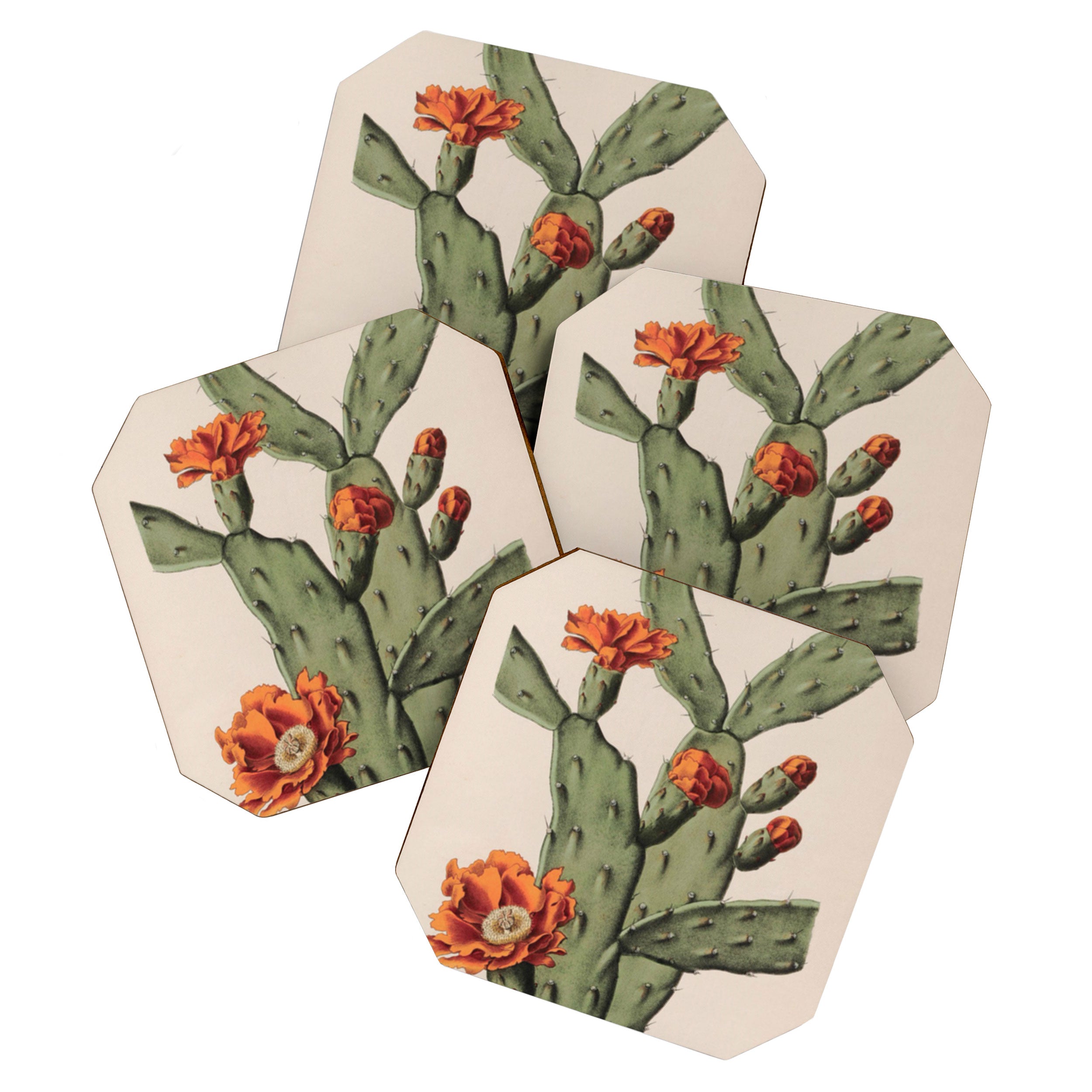 Botanical Cactus Coaster Gallery Image 1
