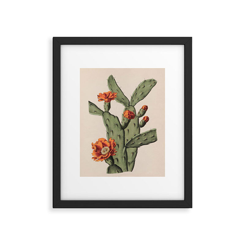 Botanical Cactus Framed Art Print Gallery Image 5