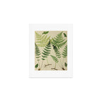 Botanical Ferns Art Print Gallery Image 1