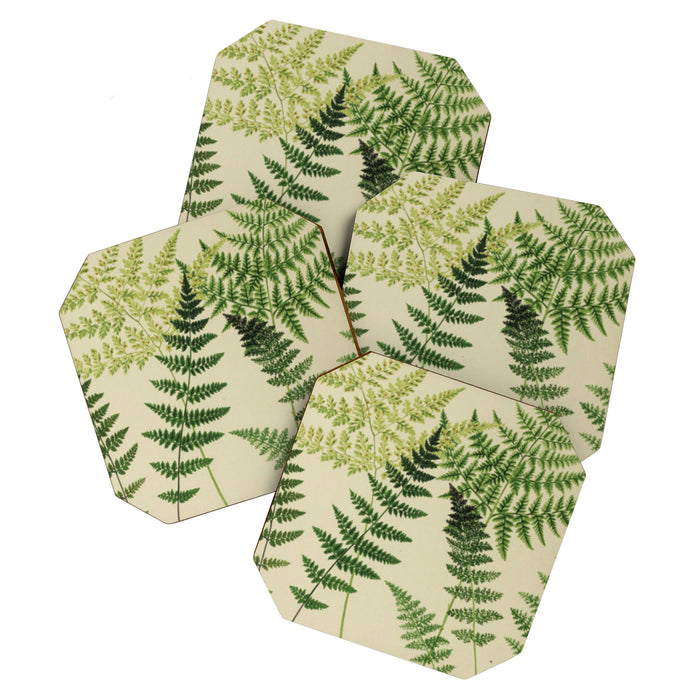 Botanical Ferns Coaster Gallery Image 1