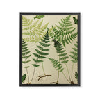 Botanical Ferns Framed Canvas Print Gallery Image 6