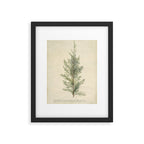 Botanical Juniper Framed Art Print Gallery Image 5