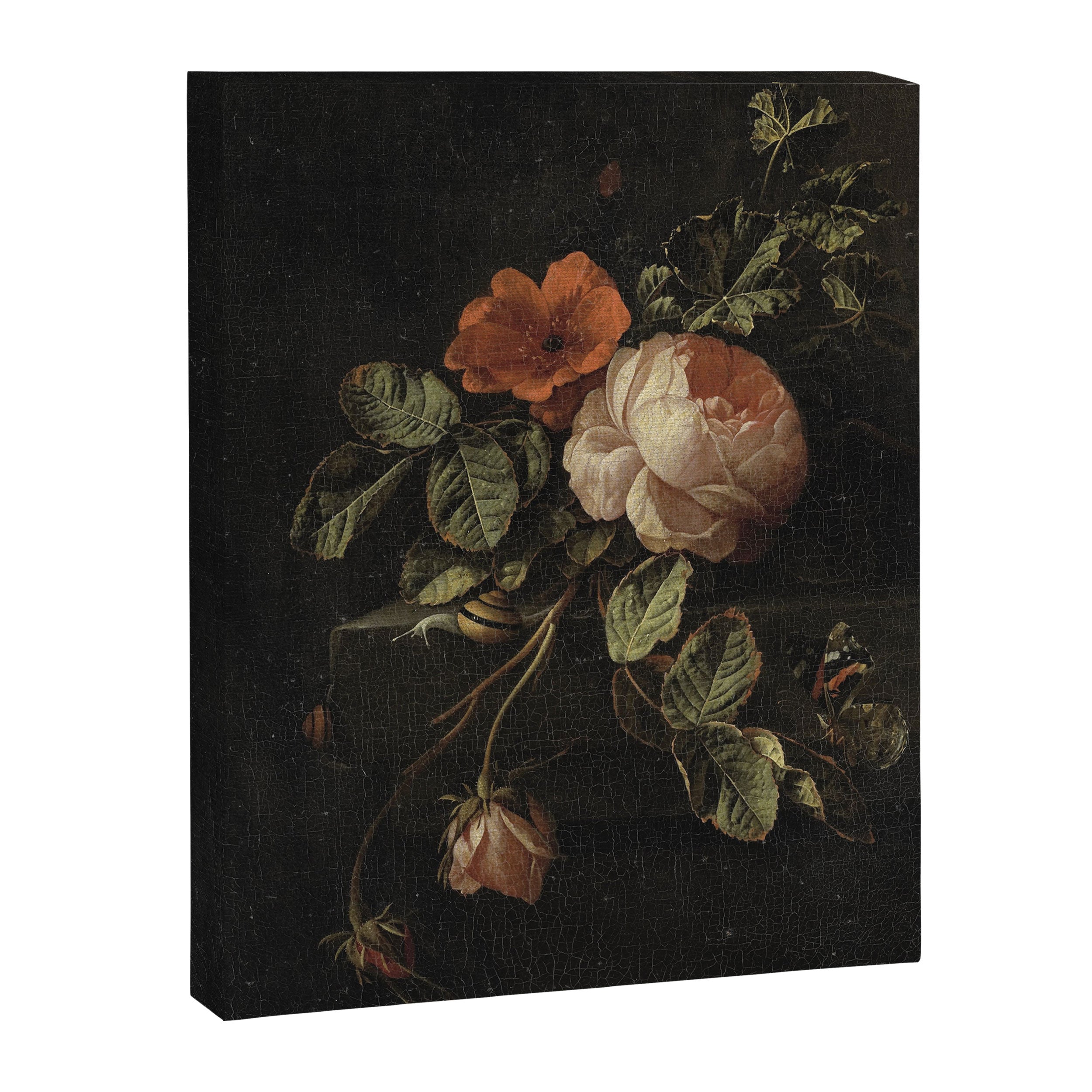 Botanical Rose And Snail Canvas Print Gallery Image 3